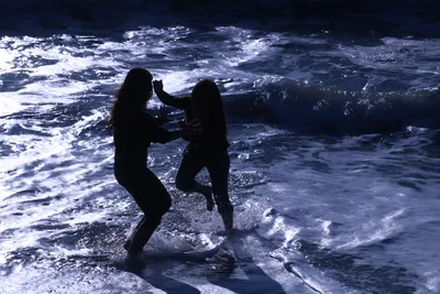 DSC_0502 (Large).JPG